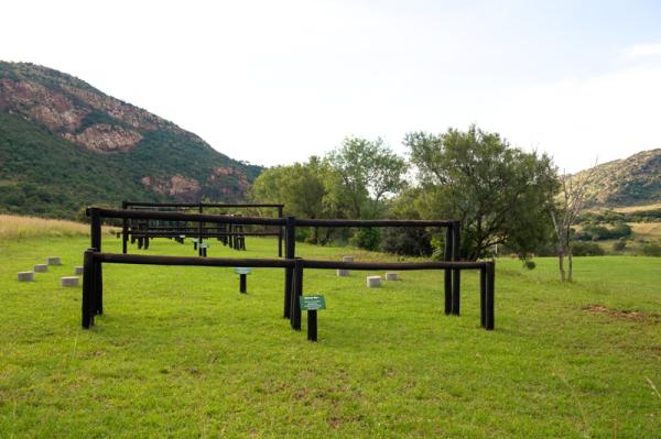 Obstacle course at sports field