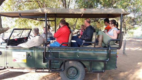 Game drive at Tshikwalo