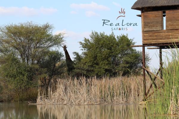 Re a Lora Lodge Hide