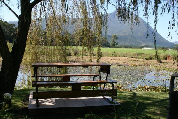 Peaceful place at pond