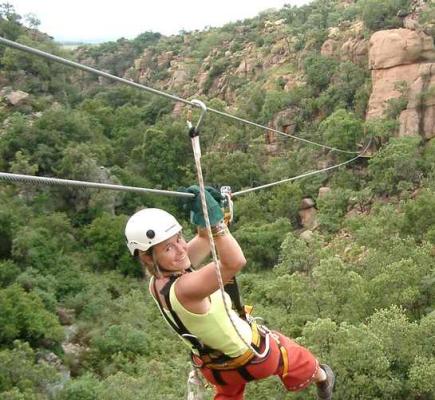 Canopy Tours