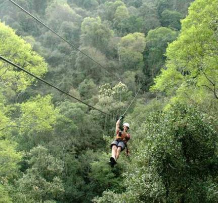 Canopy Tours