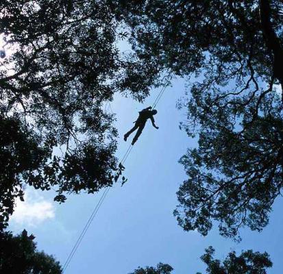 Canopy Tours