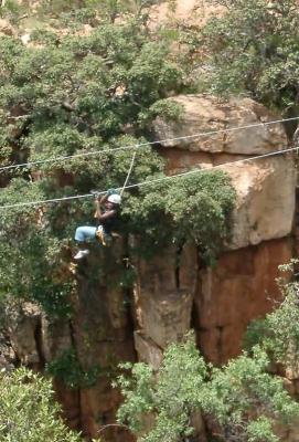 Canopy Tours