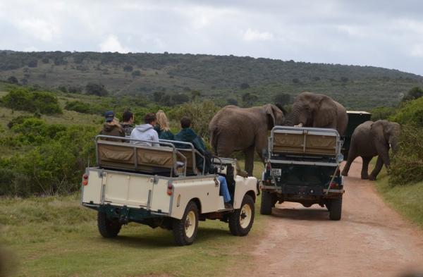 Various Safaris on Offer