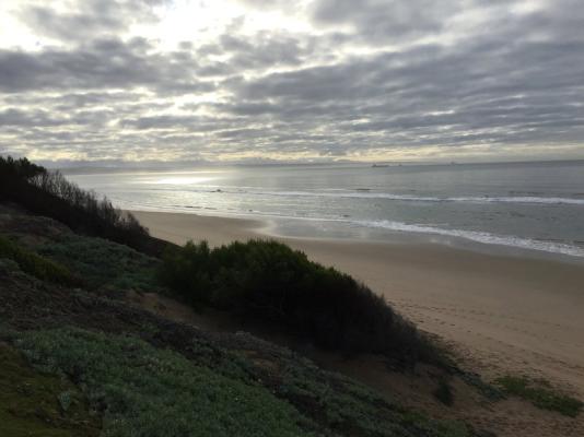 African Oceans - Manor on the Beach