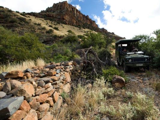 Karoo National Park Wildlife