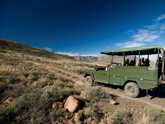 Karoo National Park Wildlife