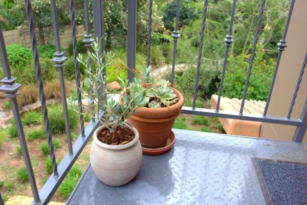 View of garden from upstrairs balcony