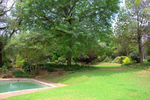 Front garden and swimming pool