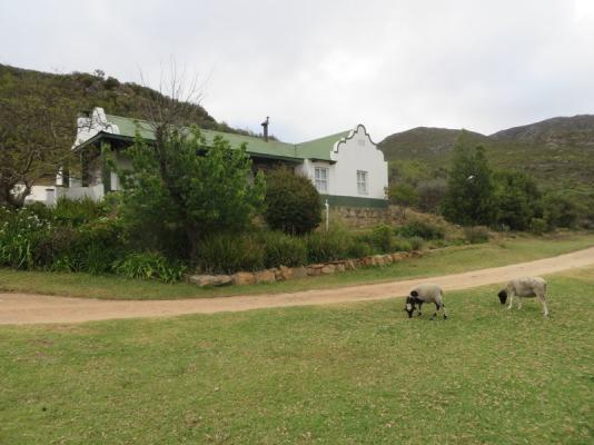 Cottage 2 - Gemsbok