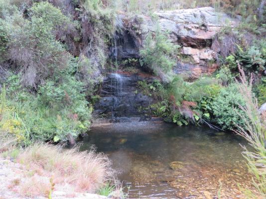 Swimming - Waterfall