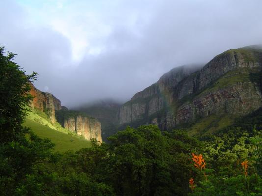 Our View of the Gorge