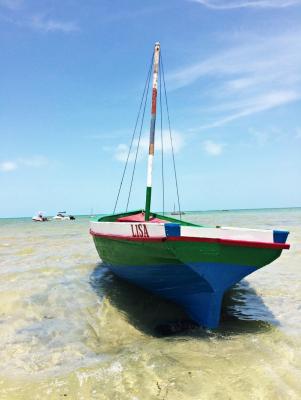 Our Motorized dhow - Lisa - available for island hopping and fishing trips
