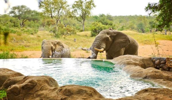 Motswari Private Game Reserve