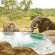 Motswari Private Game Reserve