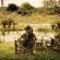 Motswari Private Game Reserve