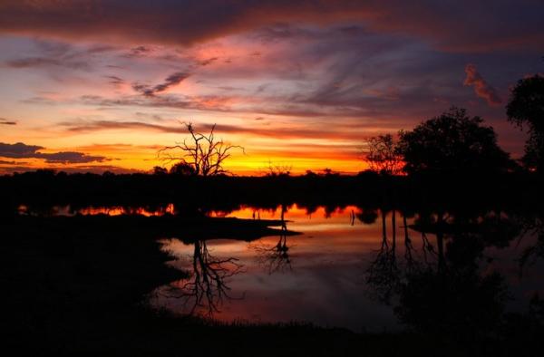 Motswari Private Game Reserve