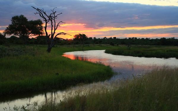 Motswari Private Game Reserve