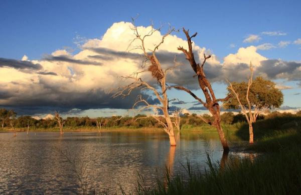 Motswari Private Game Reserve