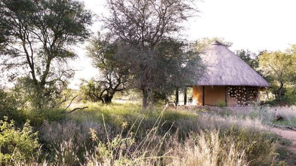 Motswari Private Game Reserve