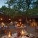 Motswari Private Game Reserve