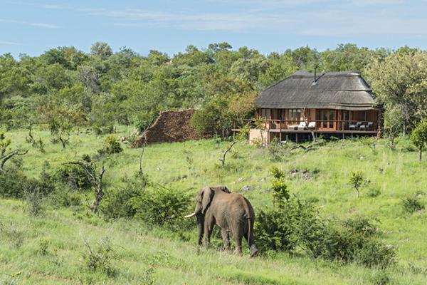 Royal Madikwe