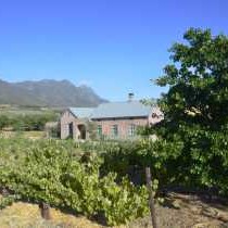 Vineyard Views Country House