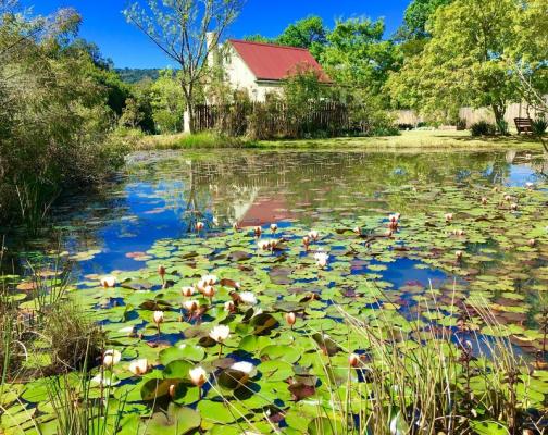 Forest Edge Holiday Cottages