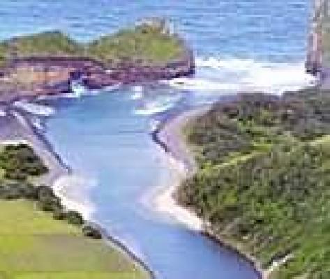 Wild Coast - Diving