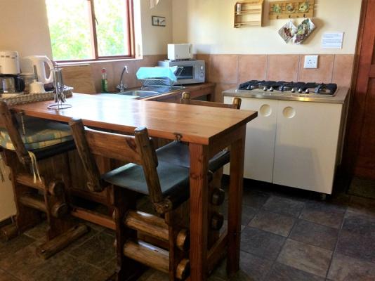 Leopard Room Kitchen