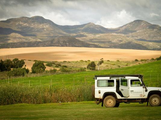 Endless Vineyards Boutique Lodge