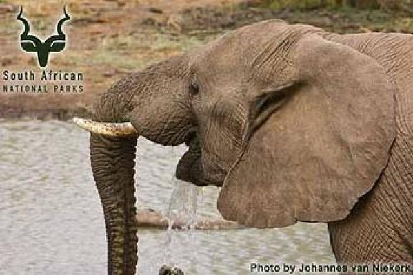 Mapungubwe National Park