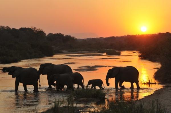 Game Lodges in Mpumalanga