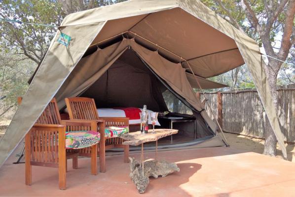 Civet Safari Tent