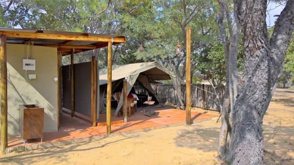 Civet Safari Tent overview
