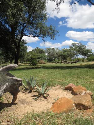 Main Lodge view