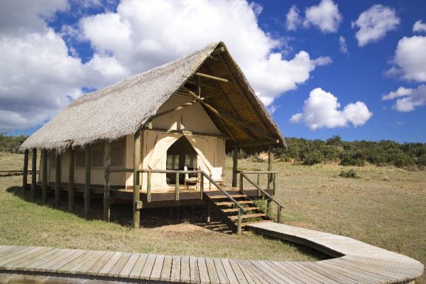 Game Lodges in the Eastern Cape