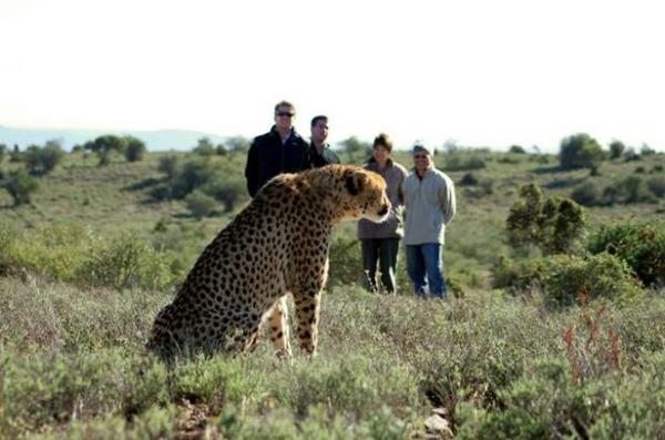 Game Lodges in the Eastern Cape